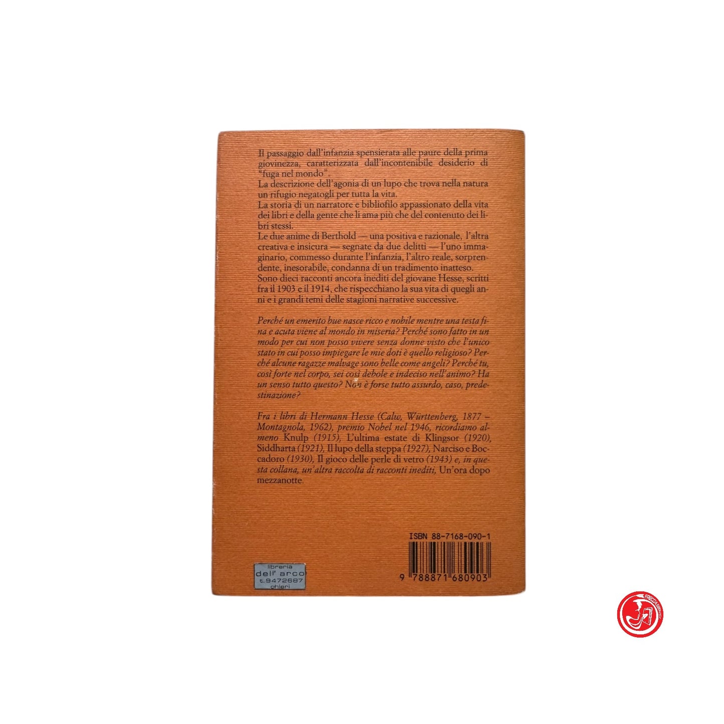 Romanzo filosofico - H. Hesse - Caccia alle stelle