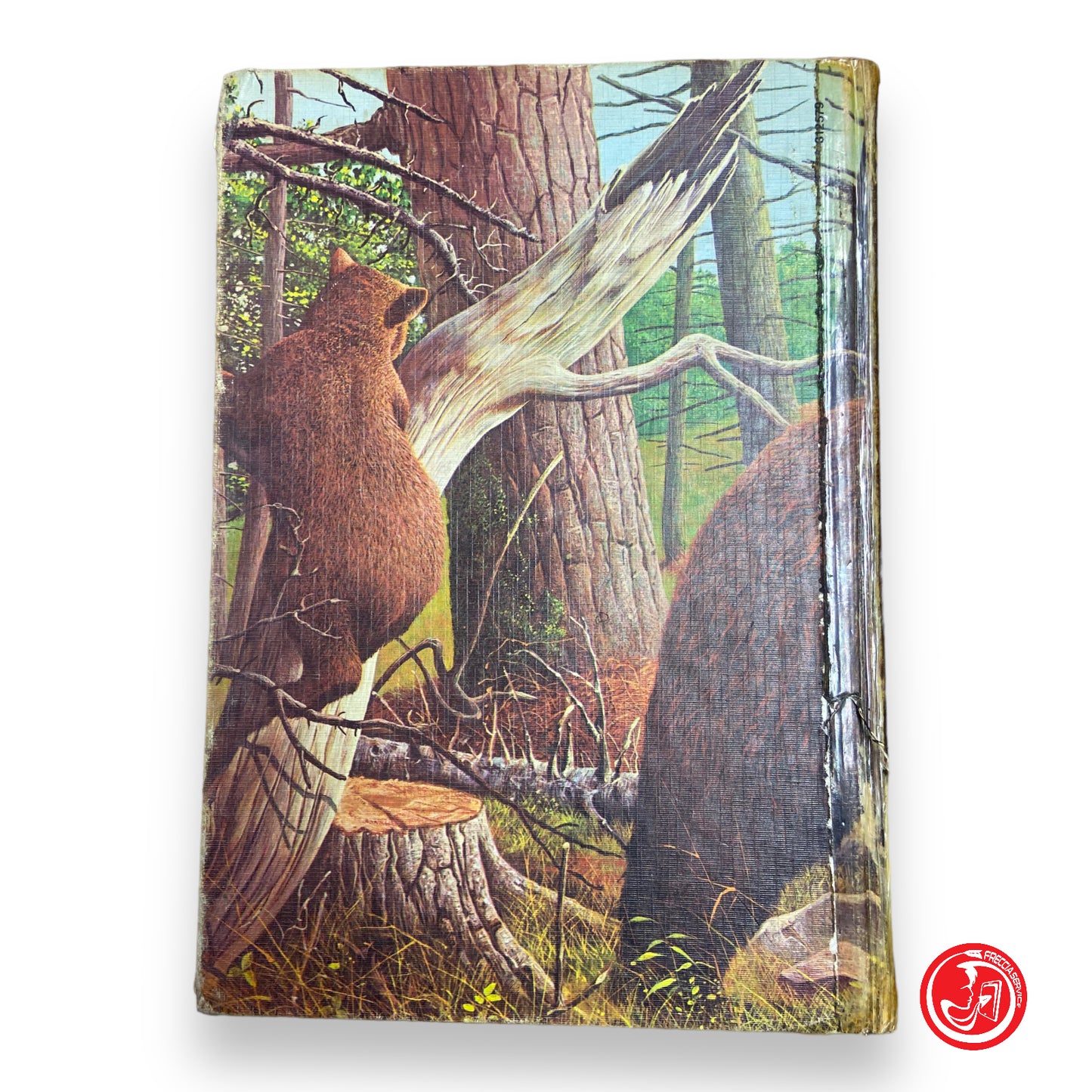 Le livre des animaux - enfants