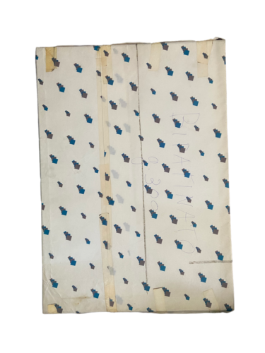 Risma cartoncino bipatinato gr.300