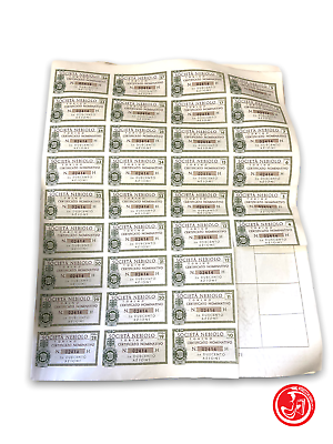 Duecento azioni - Società nebiolo - Certificato nominativo