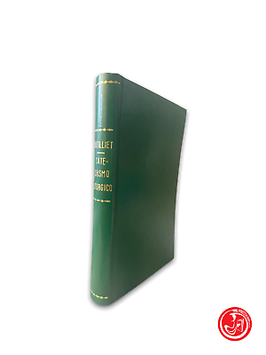 La nouvelle Bible anglaise - Nouveau Testament