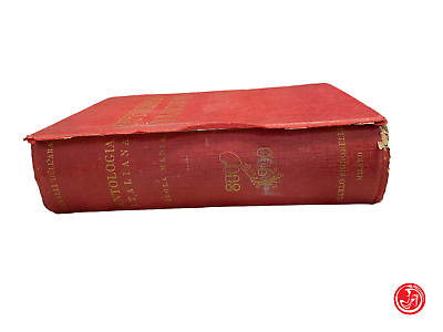 A. Cavalli dell'Ara - XIXe siècle XXe siècle - Editeur Carlo Signorelli, Milan