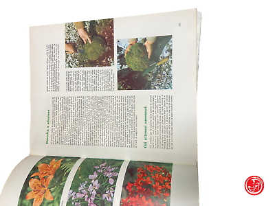 Terrazze e giardini - guida pratica al giardinaggio