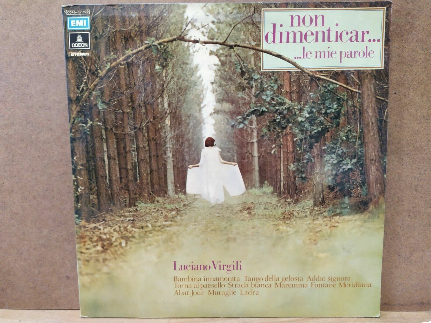 Don't Forget.... My Words - Luciano Virgili