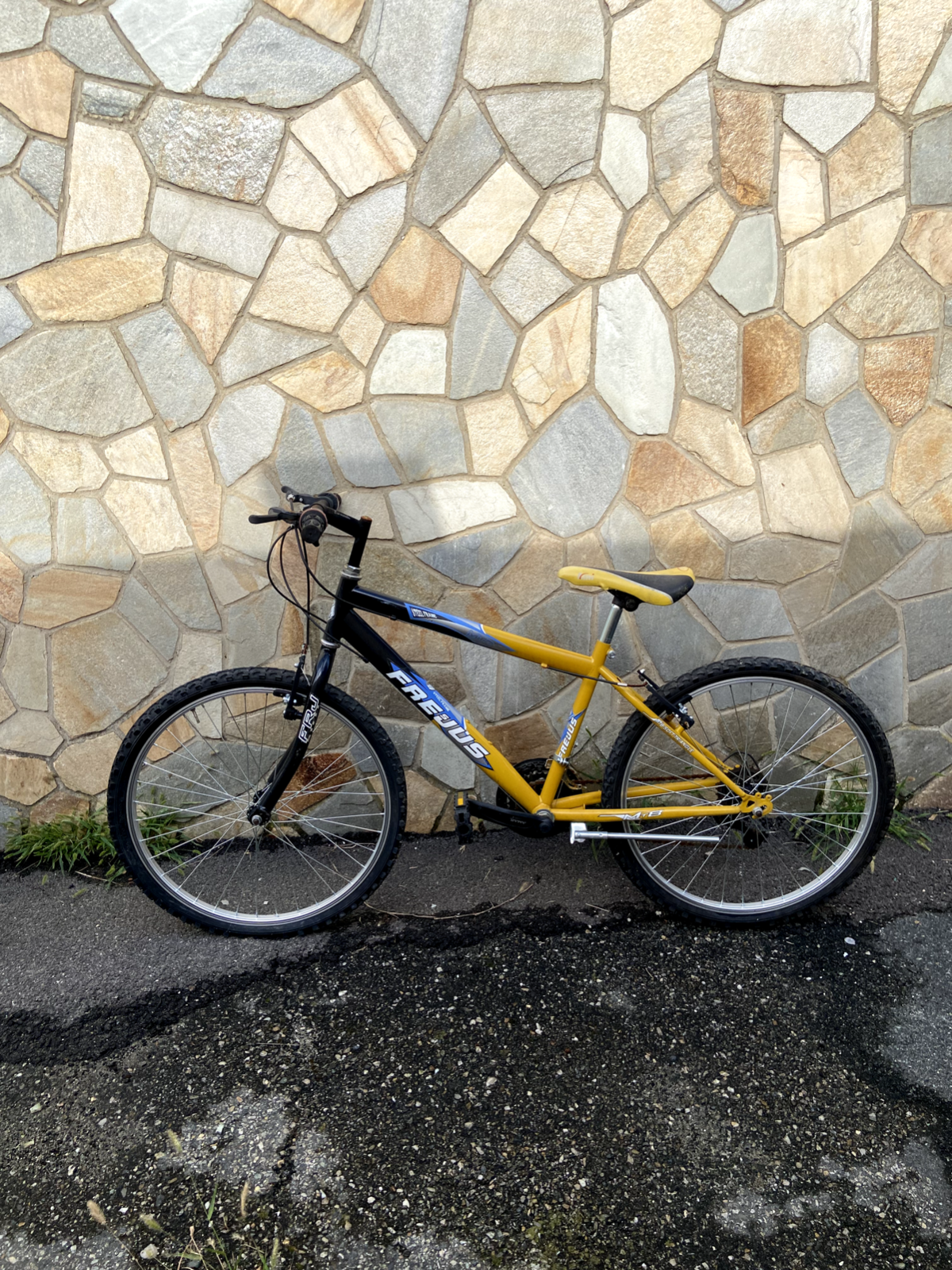 Frejus MTB bike – FRECCIA SERVICE