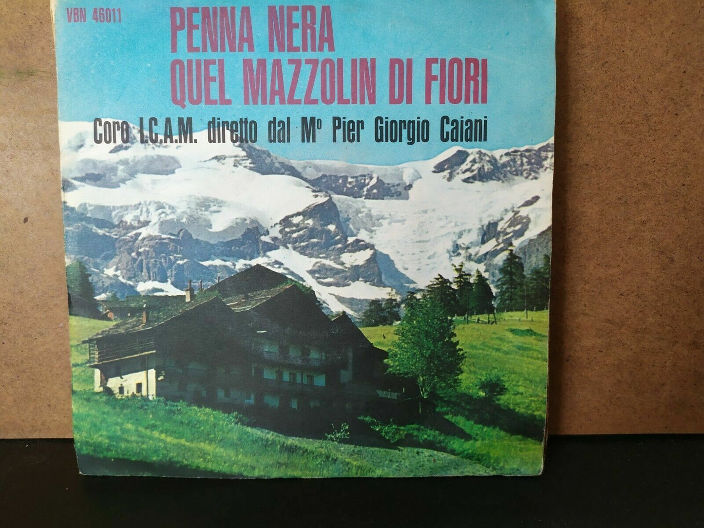 ICAM Chorus Penna Nera / Que des bouquets de fleurs