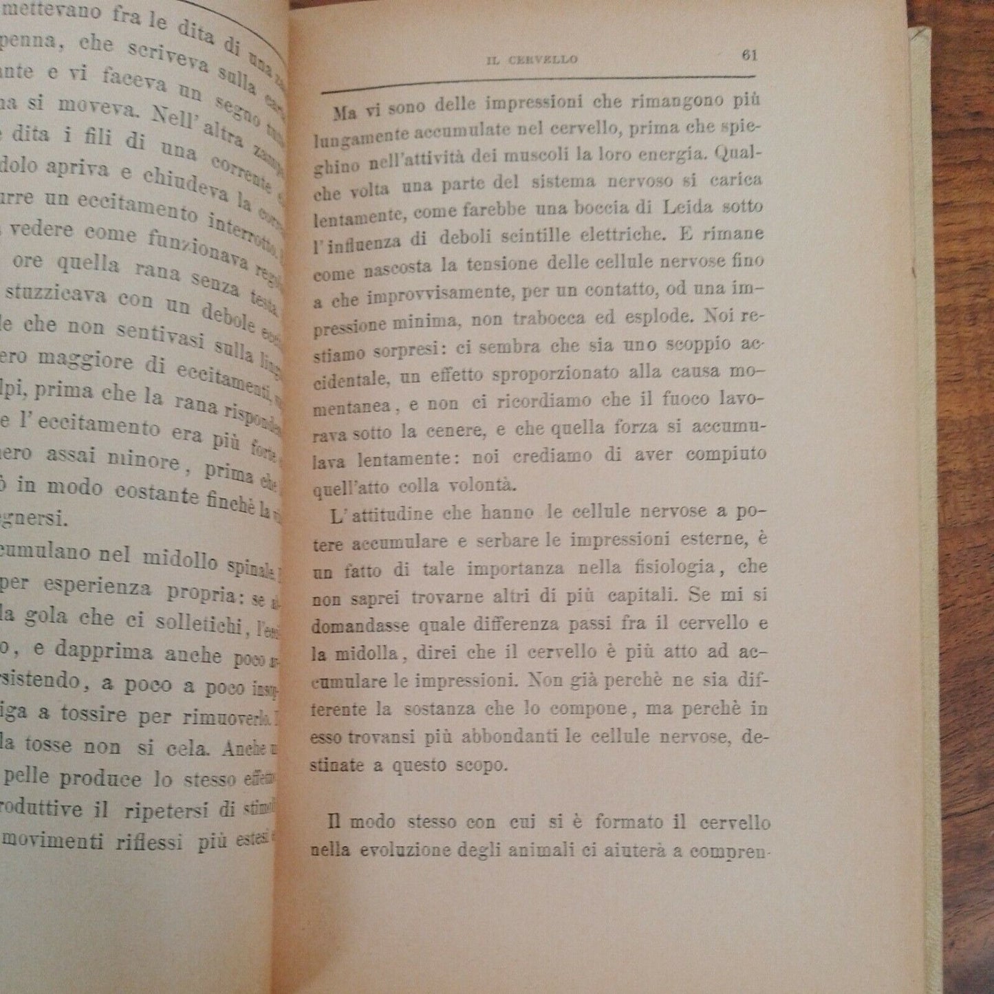 THE FEAR, A. Mosso, F.lli TREVES EDITORI, MILAN, 1938