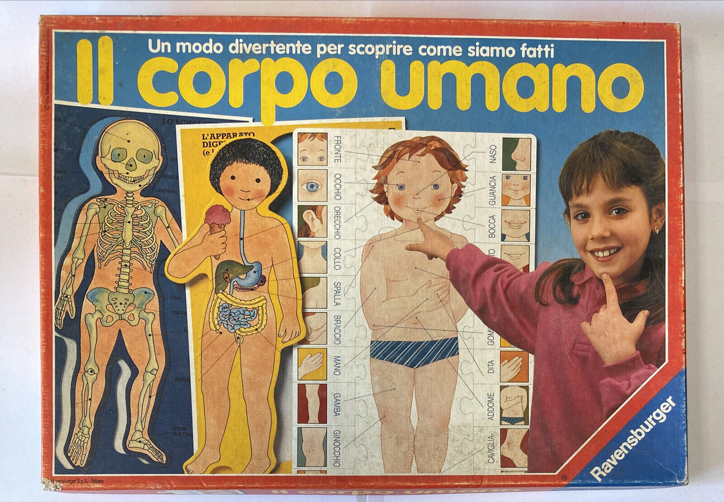Il Corpo Umano • Un Modo Divertente Per Scoprire Come Siamo Fatti
