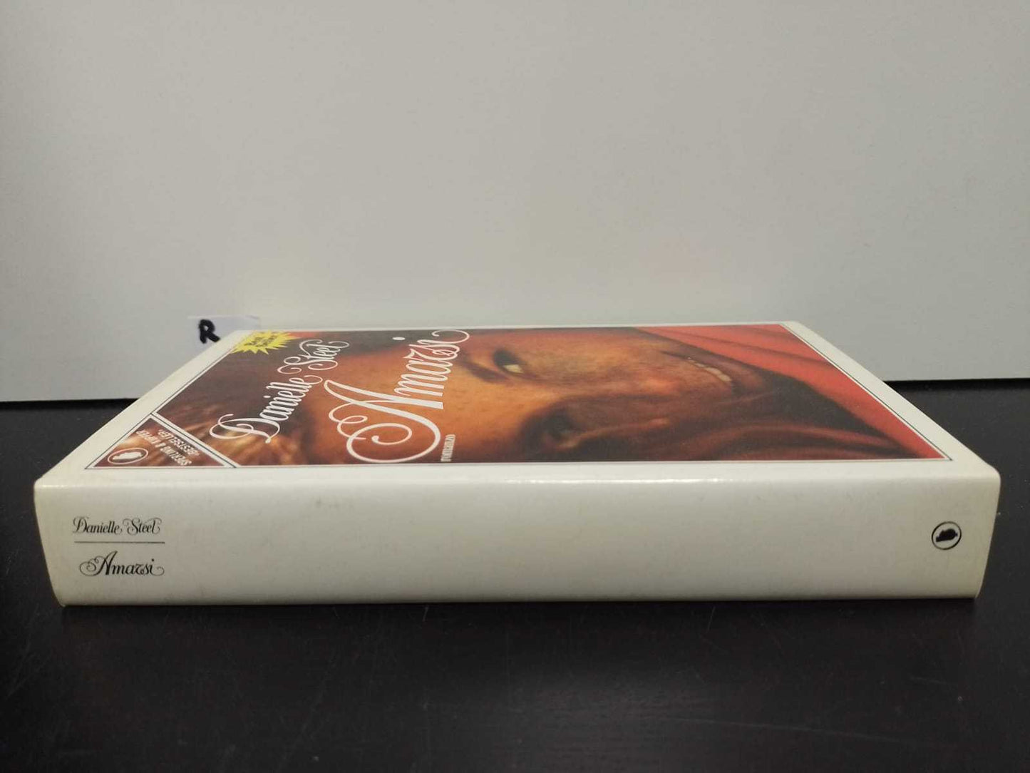 AMARSI DANIELLE STEEL