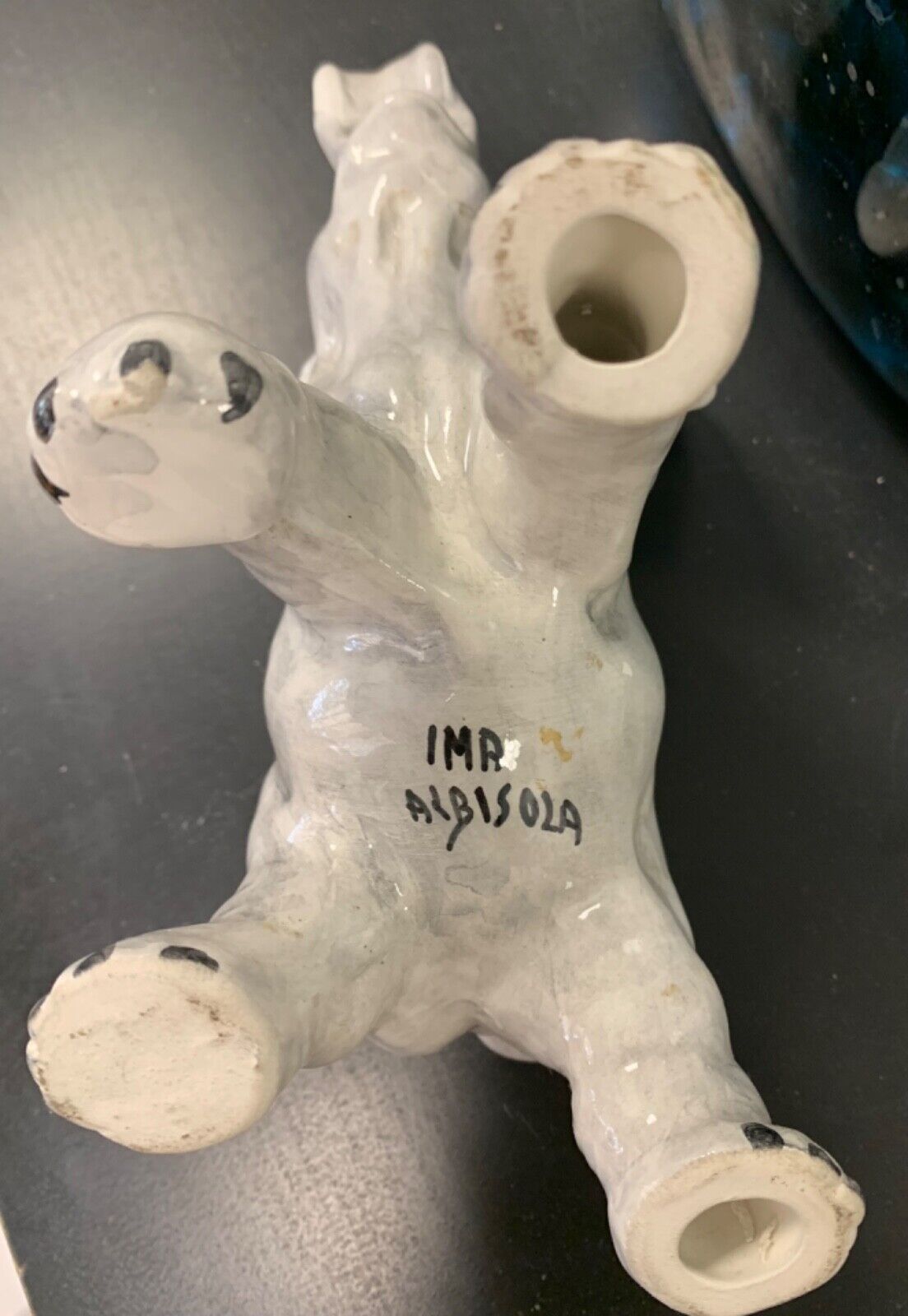 Elefante ima Albisola