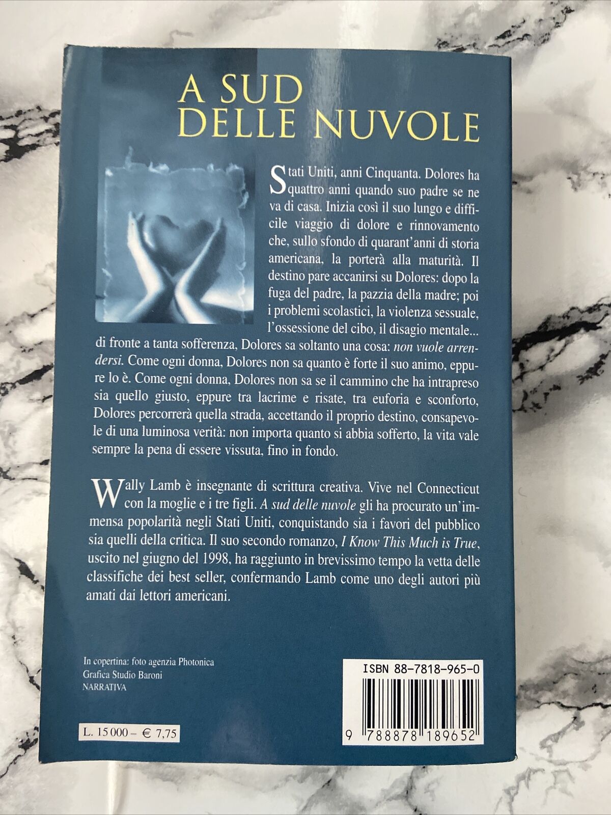 Wally Lamb South of the Clouds -