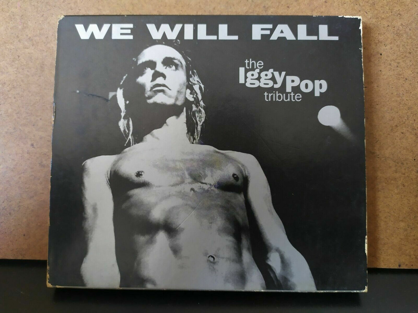 Divers – We Will Fall : L’hommage à Iggy Pop