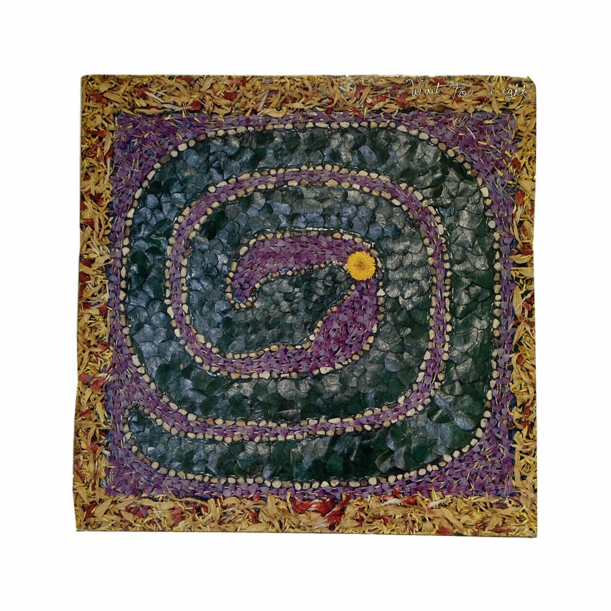 Vinyl Wait For Light