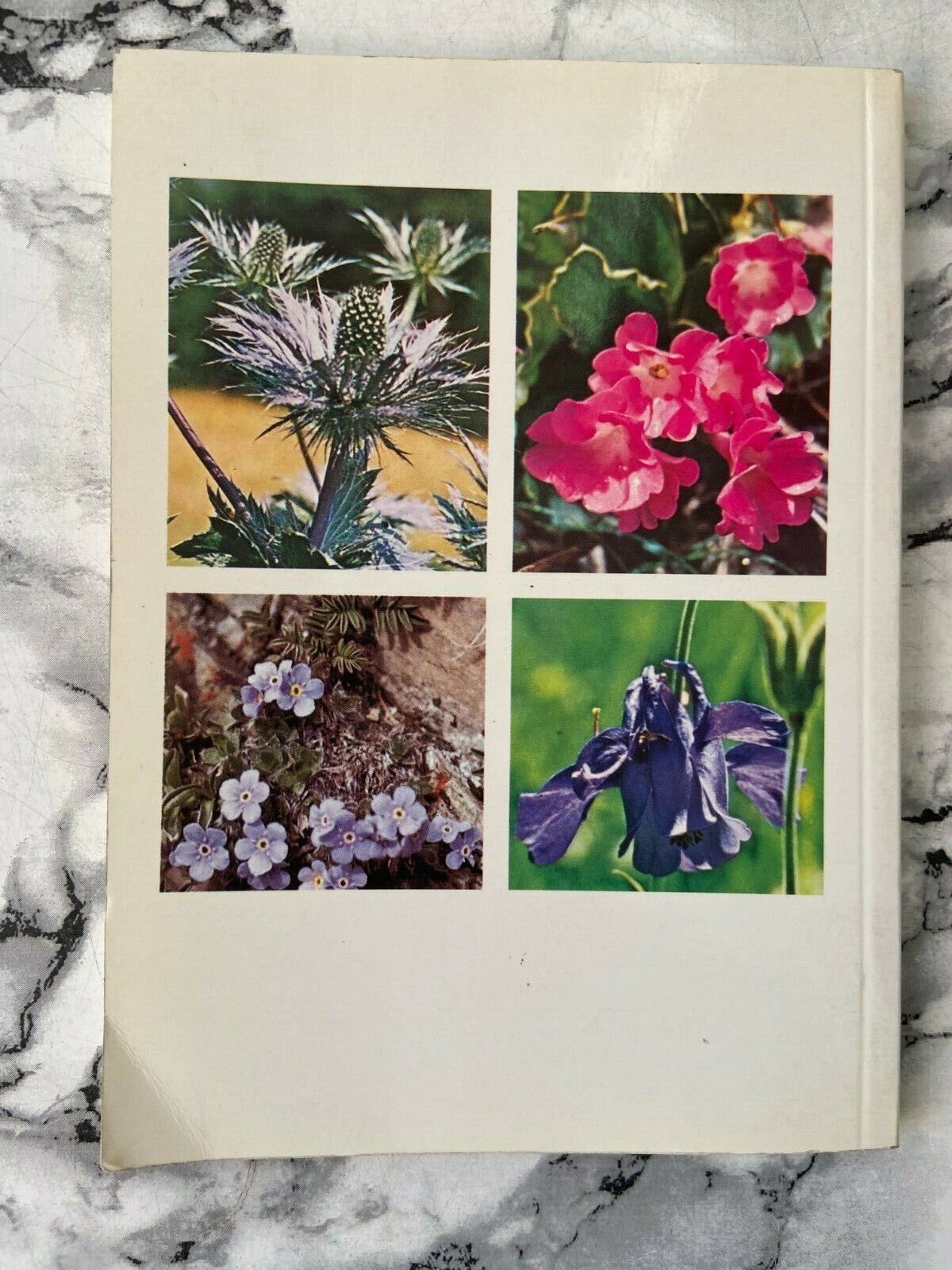 Libri - Fiori del Piemonte - Torino, Piemonte, storia