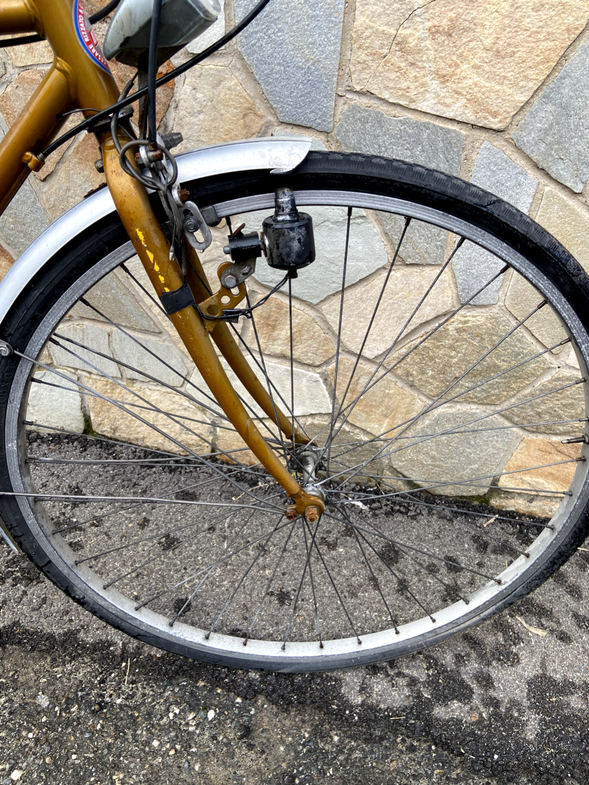 Bicicletta Atena