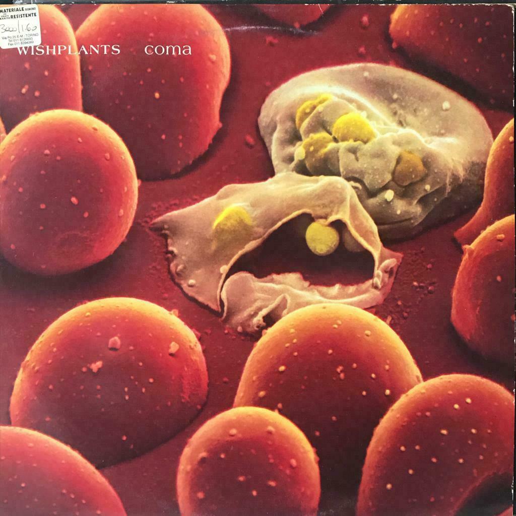 Wishplants – Coma