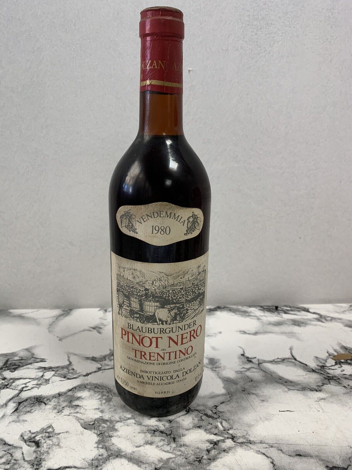 Bouteille de Pinot Nero del Trentino Blauburgunder - 1980 - Azienda Vinicola Dolzan