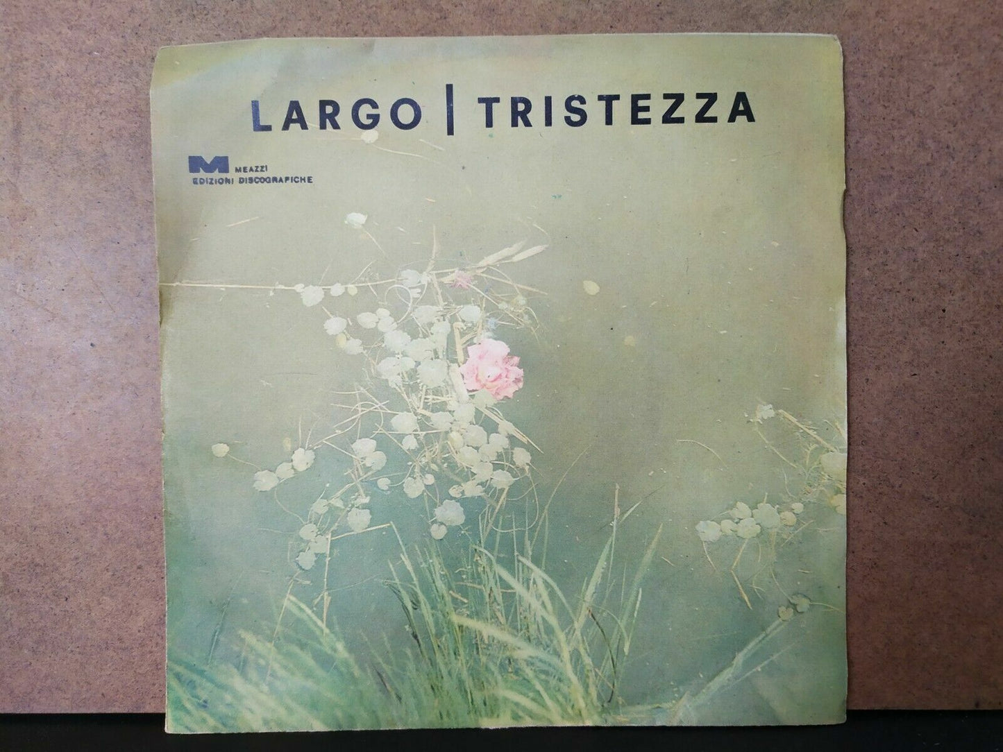Orchestre de la Radio Bavaroise - Largo / Tristesse