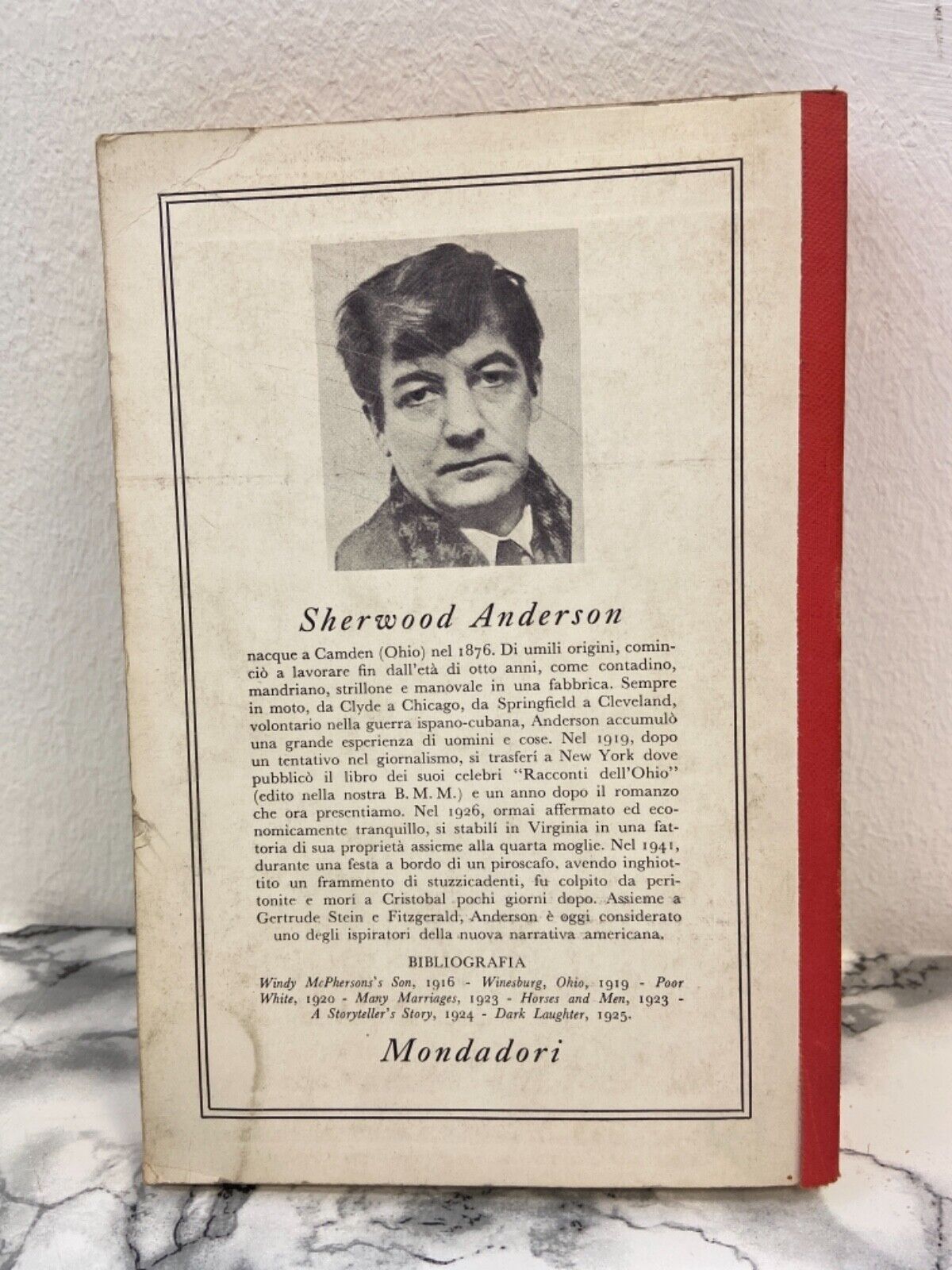 Sherwood Anderson - Un povero bianco