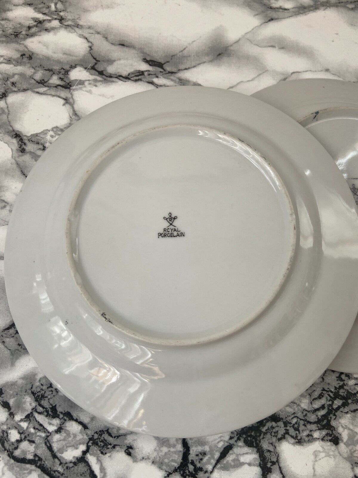 Coppia di piatti Royal Porcelain da collezione