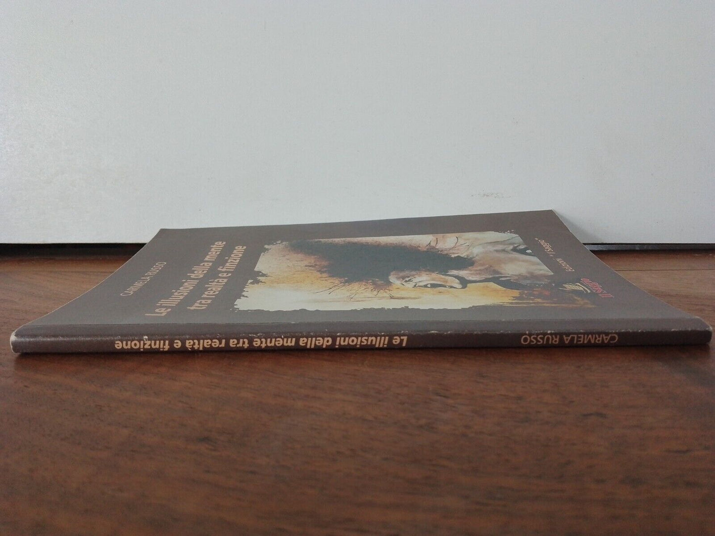 Les illusions de l'esprit entre réalité et fiction, C. Russo, le Sage éd.