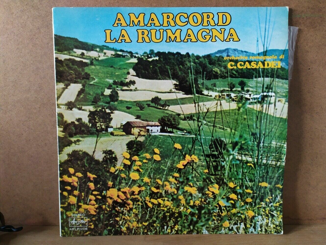 Amarcord La Rumagna - C. Casadei
