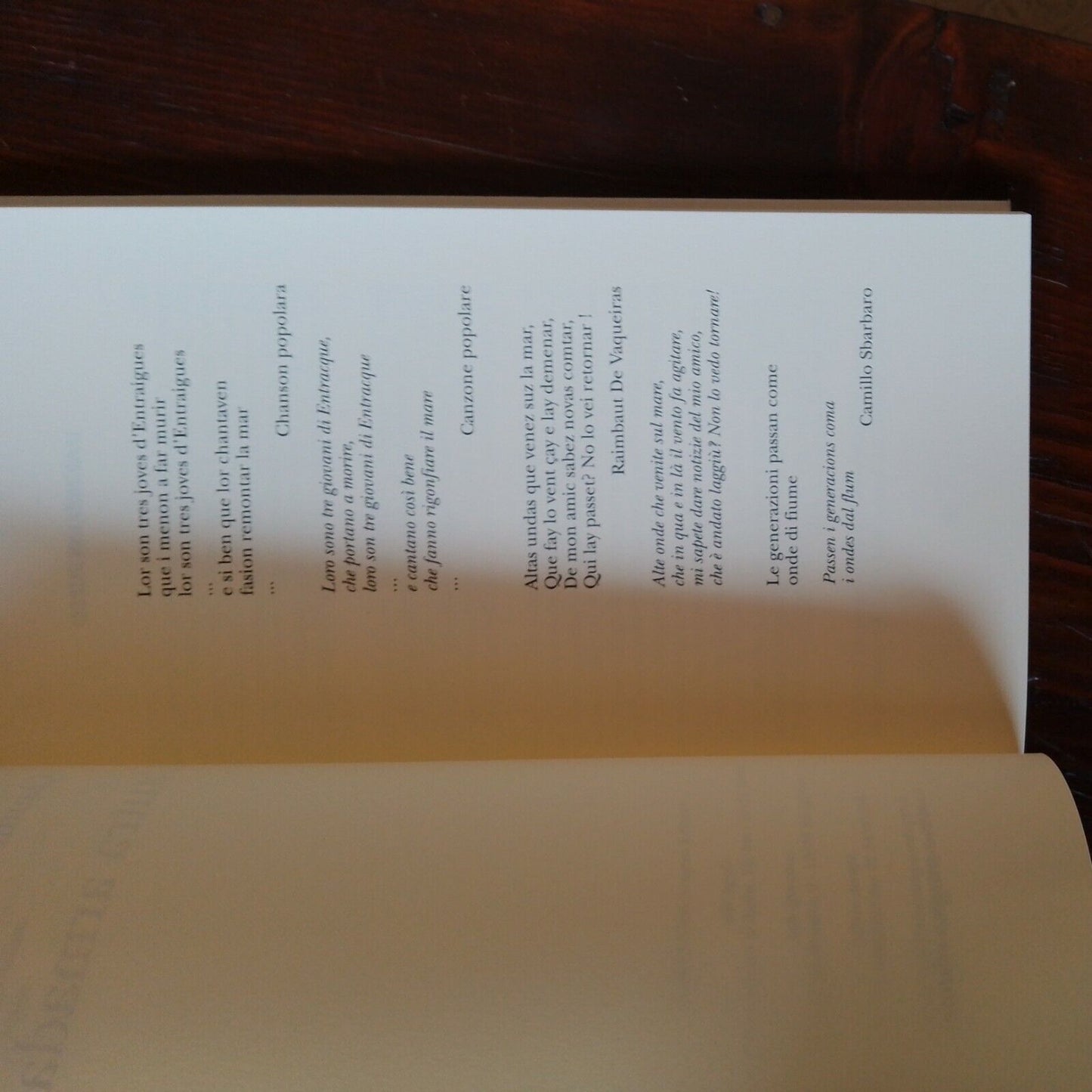 L'autra armada, Claudio Salvagno, Nino Aragno Ed., 2013 Poesie occitane