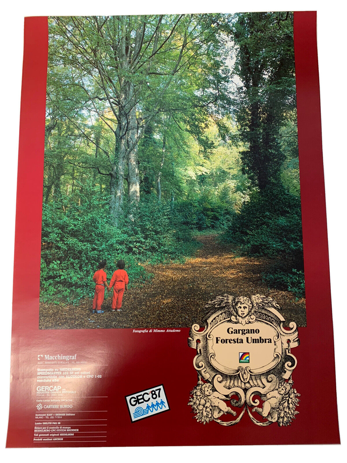 Poster Gargano - Foresta Umbra