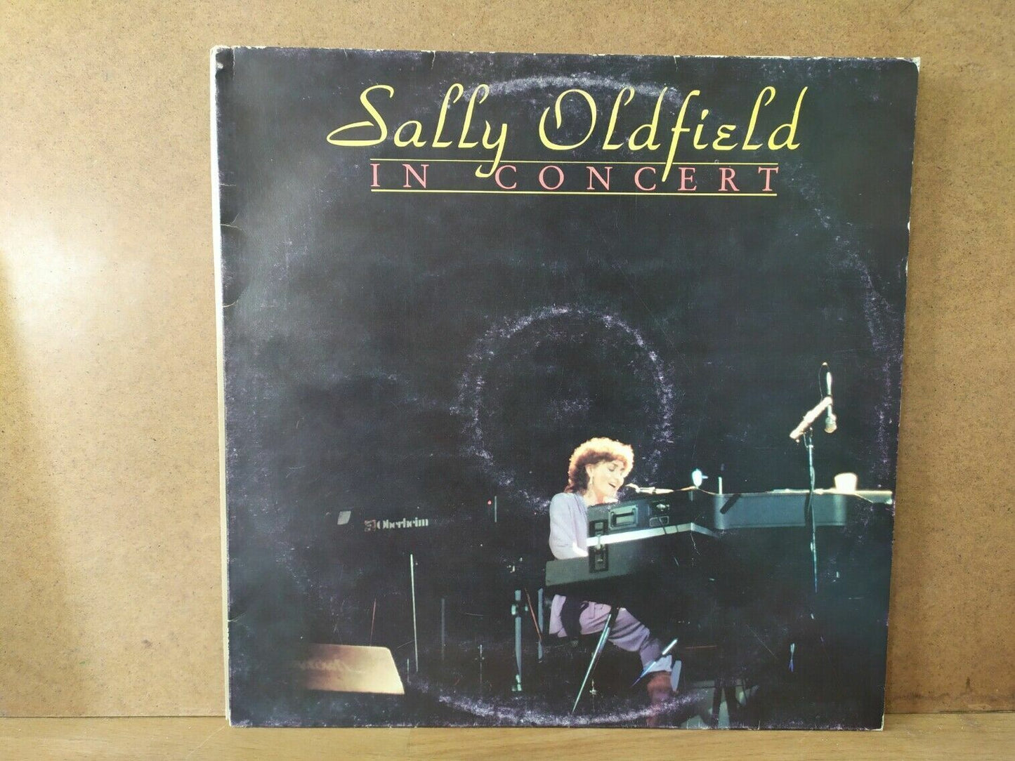 Sally Oldfield – En concert
