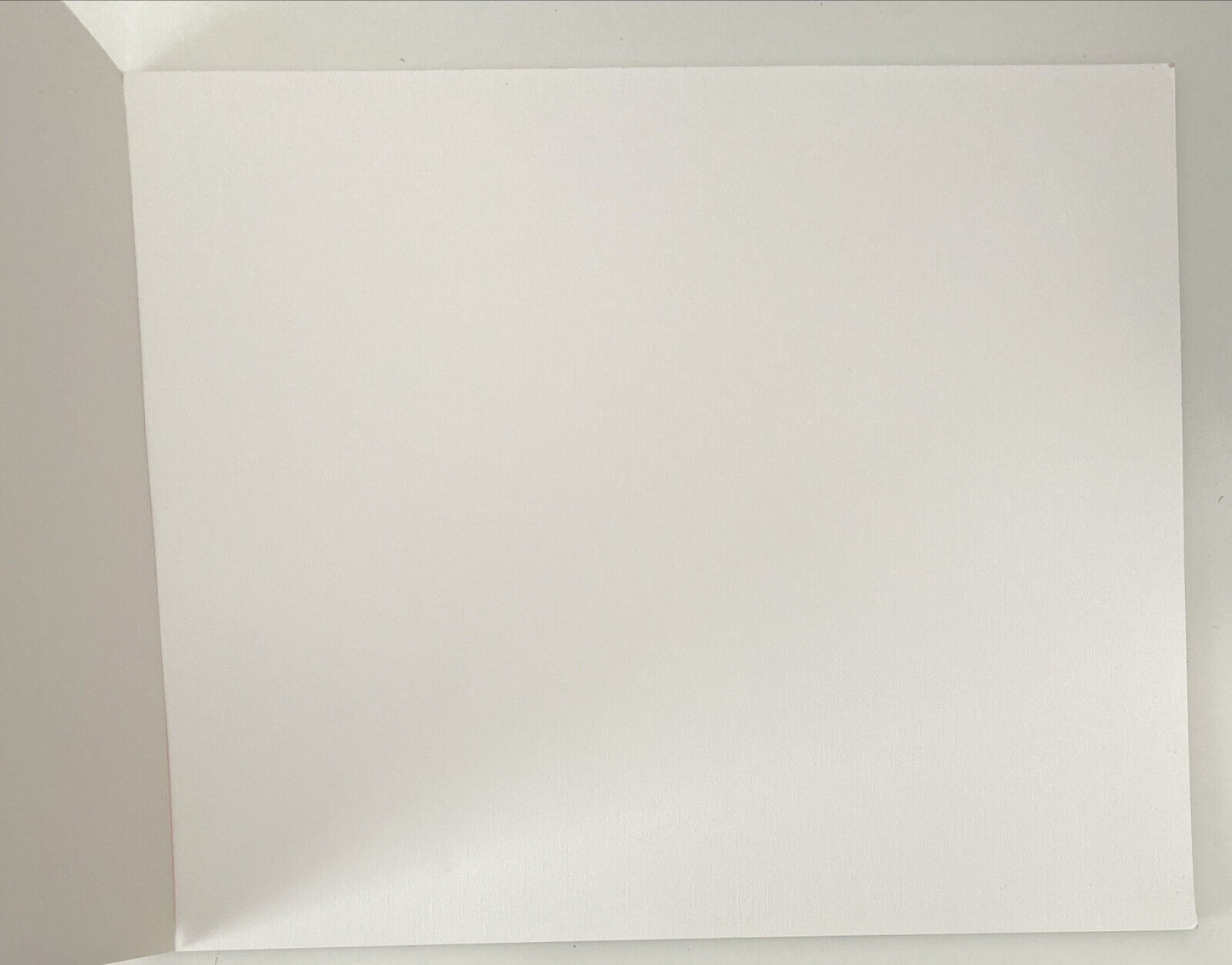 Canson Figueras - Bloc à dessin, 10 feuilles, 290 g, grain en 38 x 46 cm