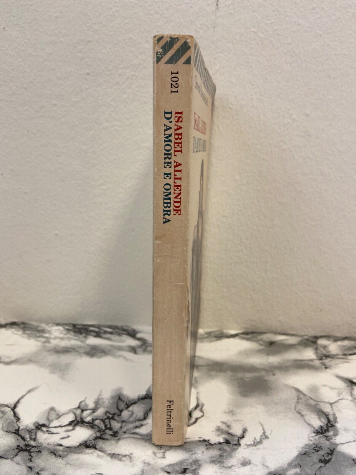 Isabel Allende - D’amore e ombra