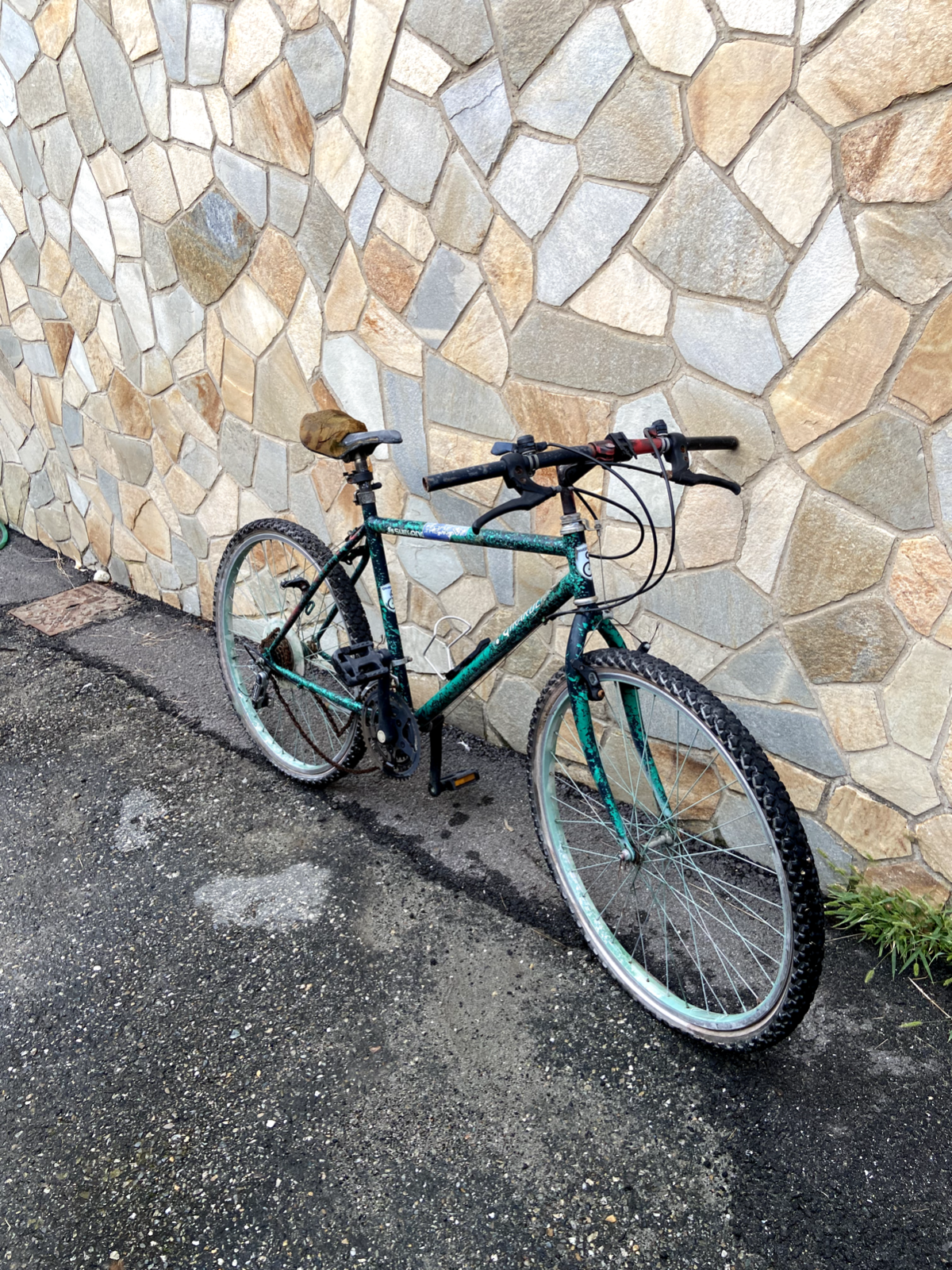 Bicicletta Girardengo