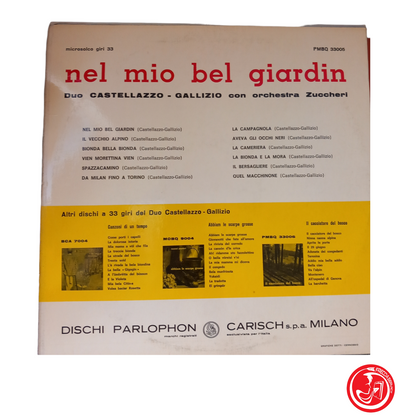 nel mio bel giardin Duo CASTELLAZZO - GALLIZIO con orchestra Zuccheri