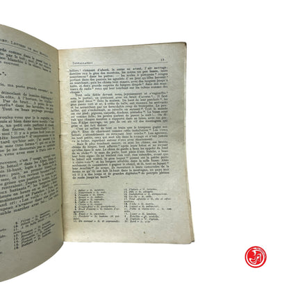 Saggistica - A. Daudet - Lettres de mon moulin - Lettere scelte