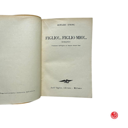 Collezione - H. Spring - Figlio!... Figlio mio!... - Volume n. 48