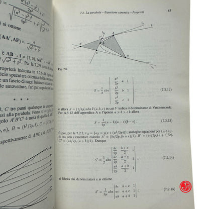 Matematica - M. Bruni - La figura e il numero lezioni di geometria Vol. 1 e 2