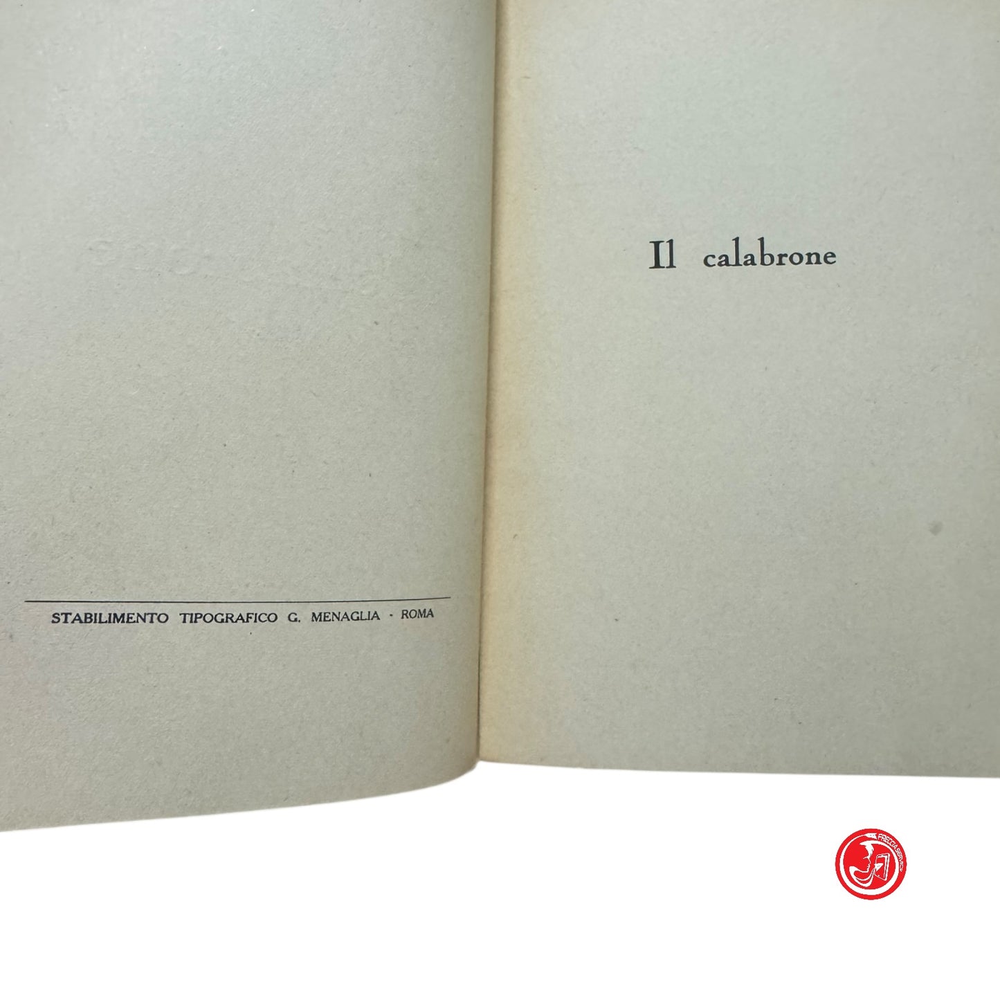 Narrativa - N. Tallino - Il calabrone