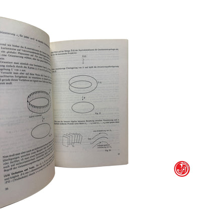 Saggio scientifico - H. Taschenbucher - Einfuhrung in die Differentialtopologie