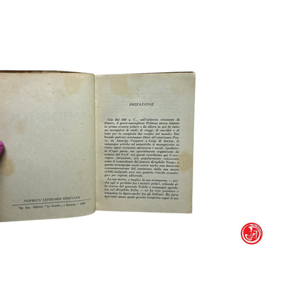Biografia - C. Milanesi - Amundsen
