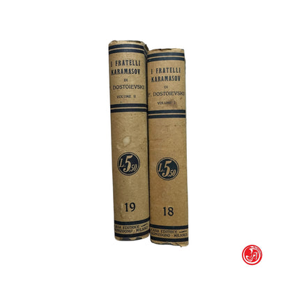 Collezione - F. Dostoievski - I fratelli Karamasov volume primo e secondo