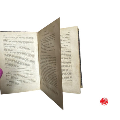 Libri antichi - Studio della lingua latina - Stefano Jouhaud editore, 1867