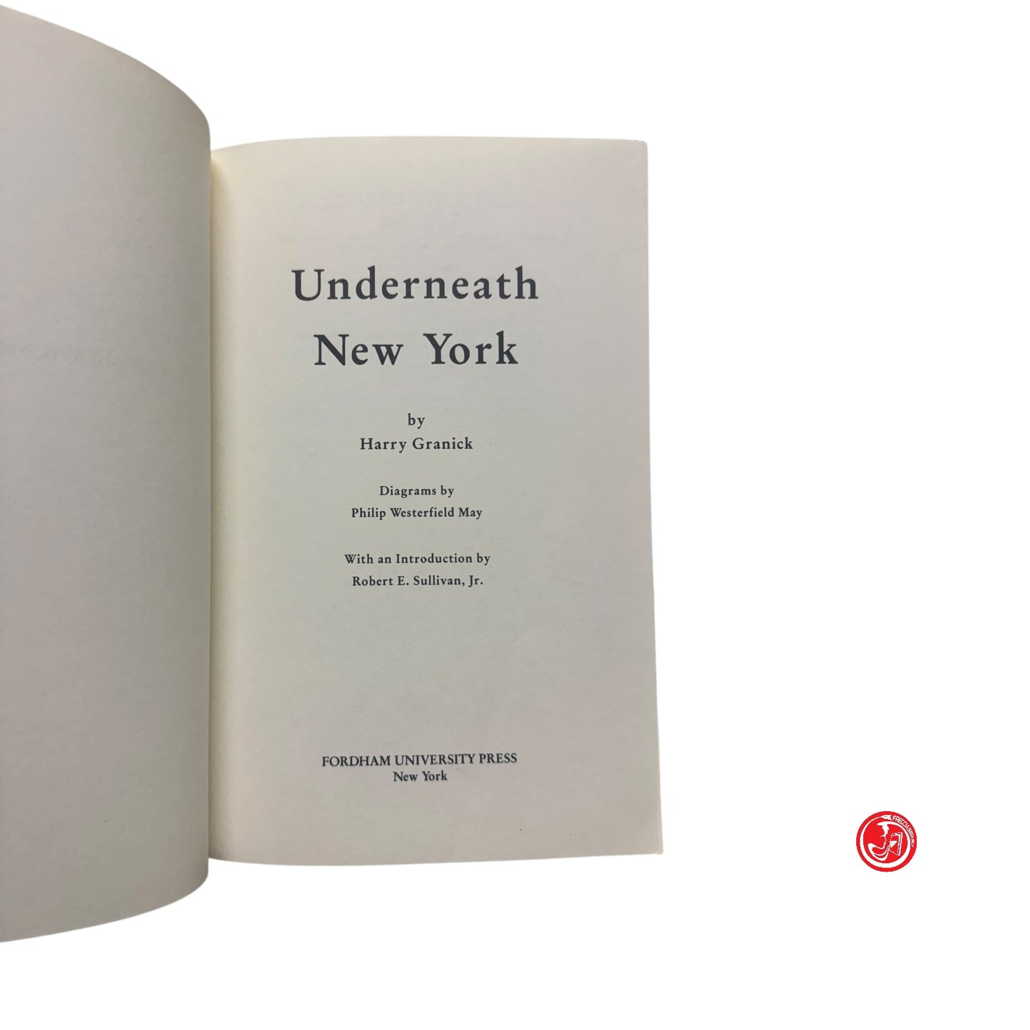Narrativa urbana - H. Granick - Underneath New York