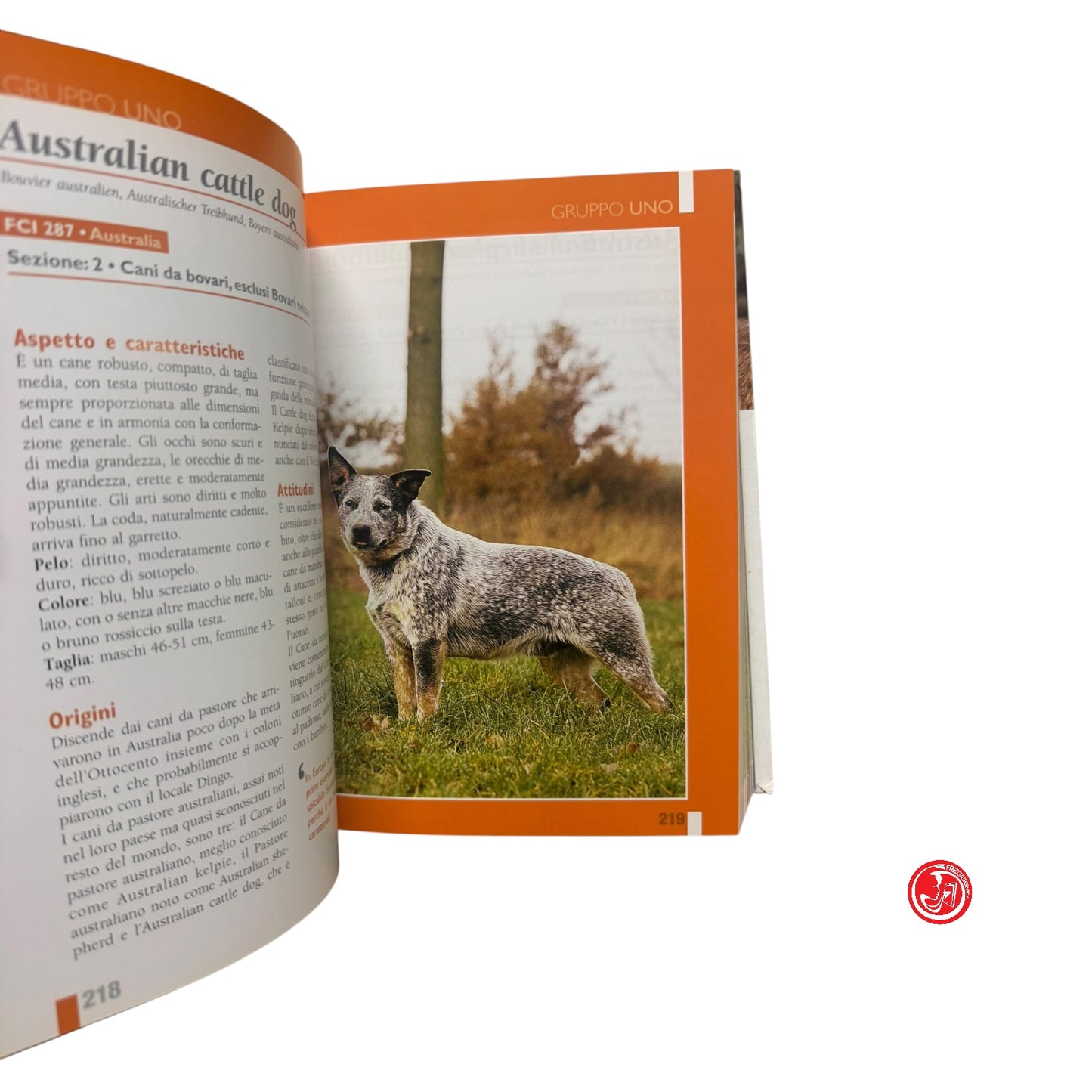C - Enciclopedia internazionale CANI tutte le razze