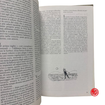 Ragazzi - S. Doglio - Il gentiluomo di campagna