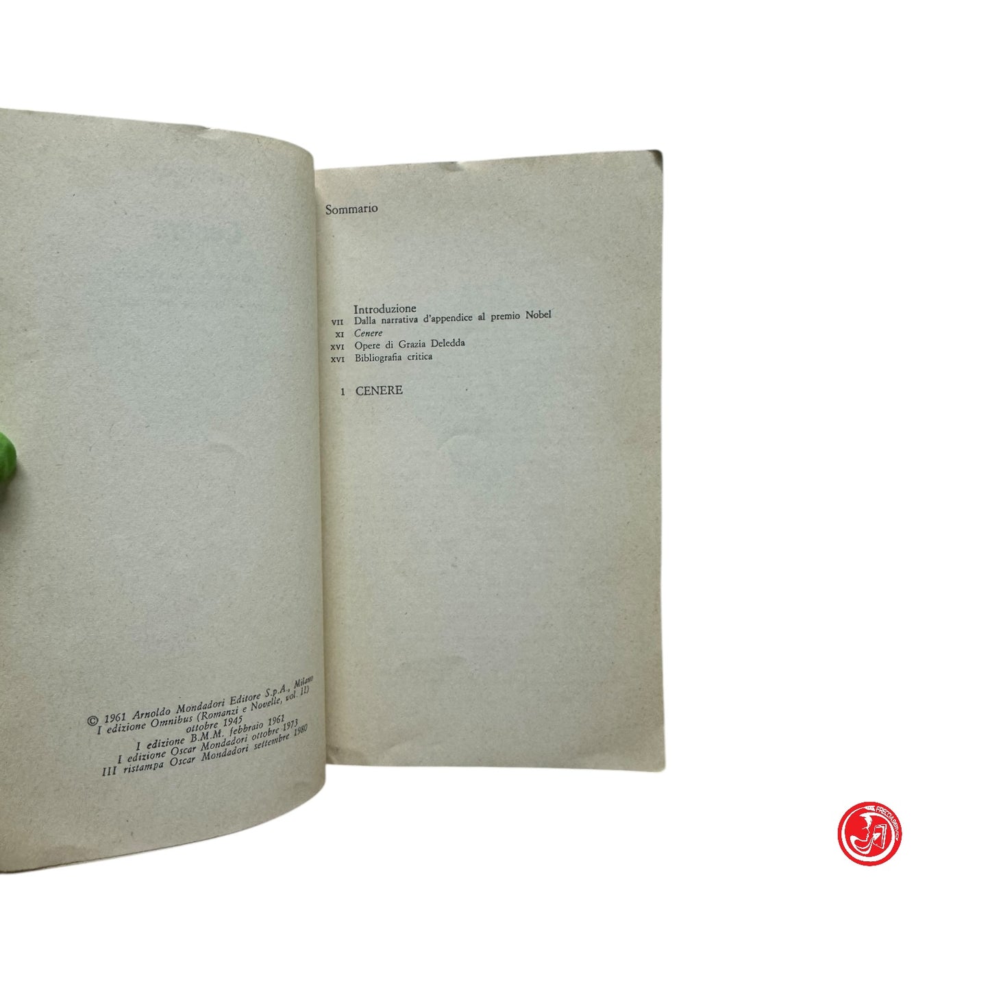 Romanzo verista - G. Deledda - Cenere
