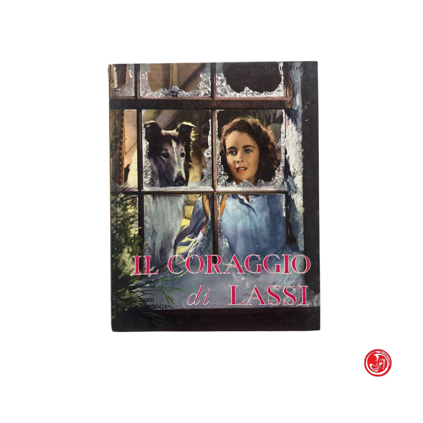 Ragazzi - Il coraggio di Lassi