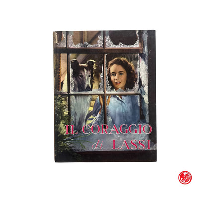 Ragazzi - Il coraggio di Lassi