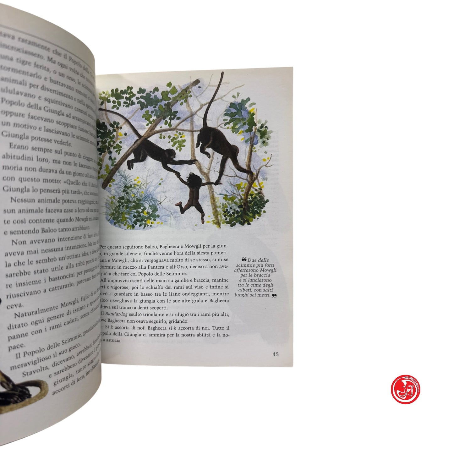 Ragazzi - R. Kipling - Il libro della giungla
