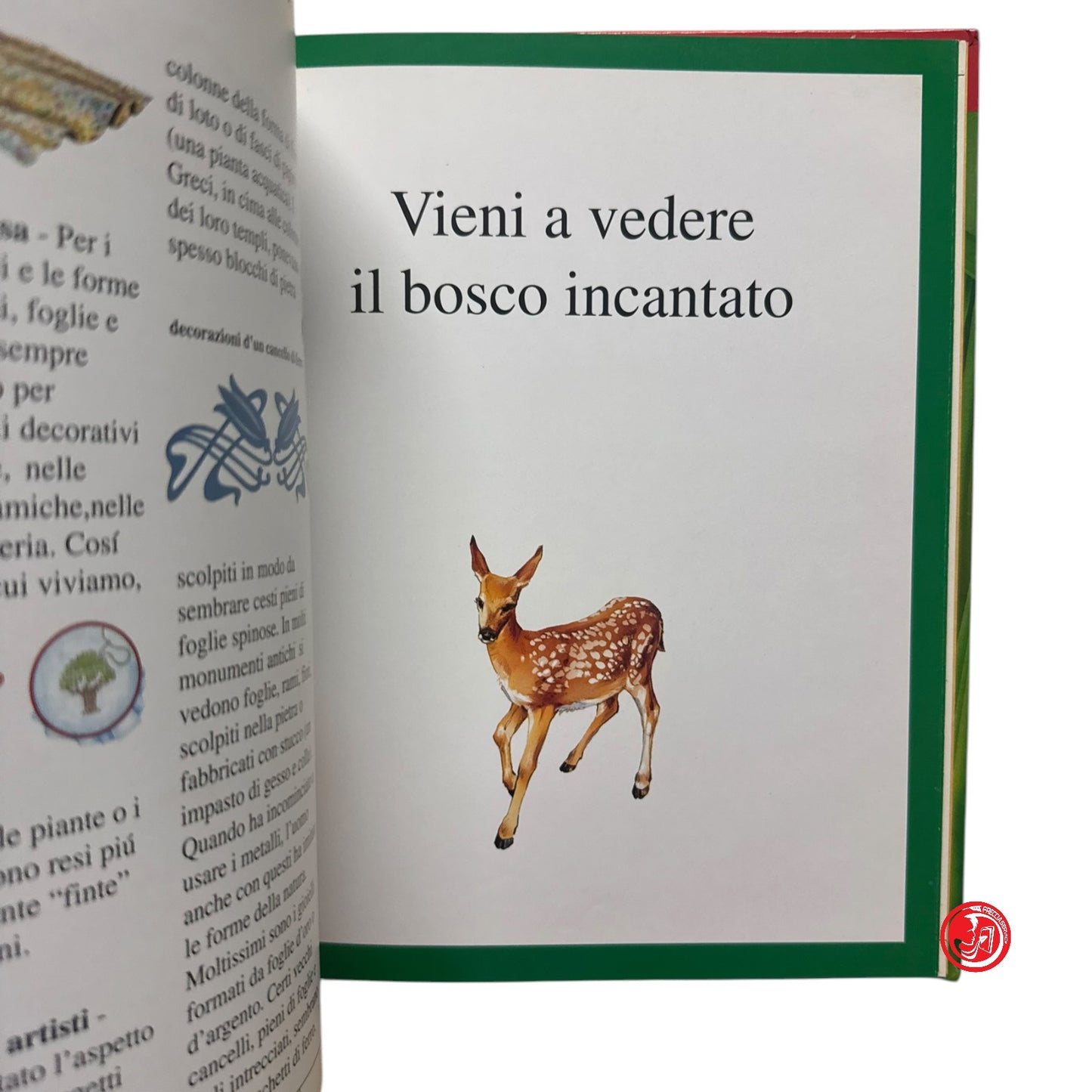 Ragazzi - Piante il verde della Terra