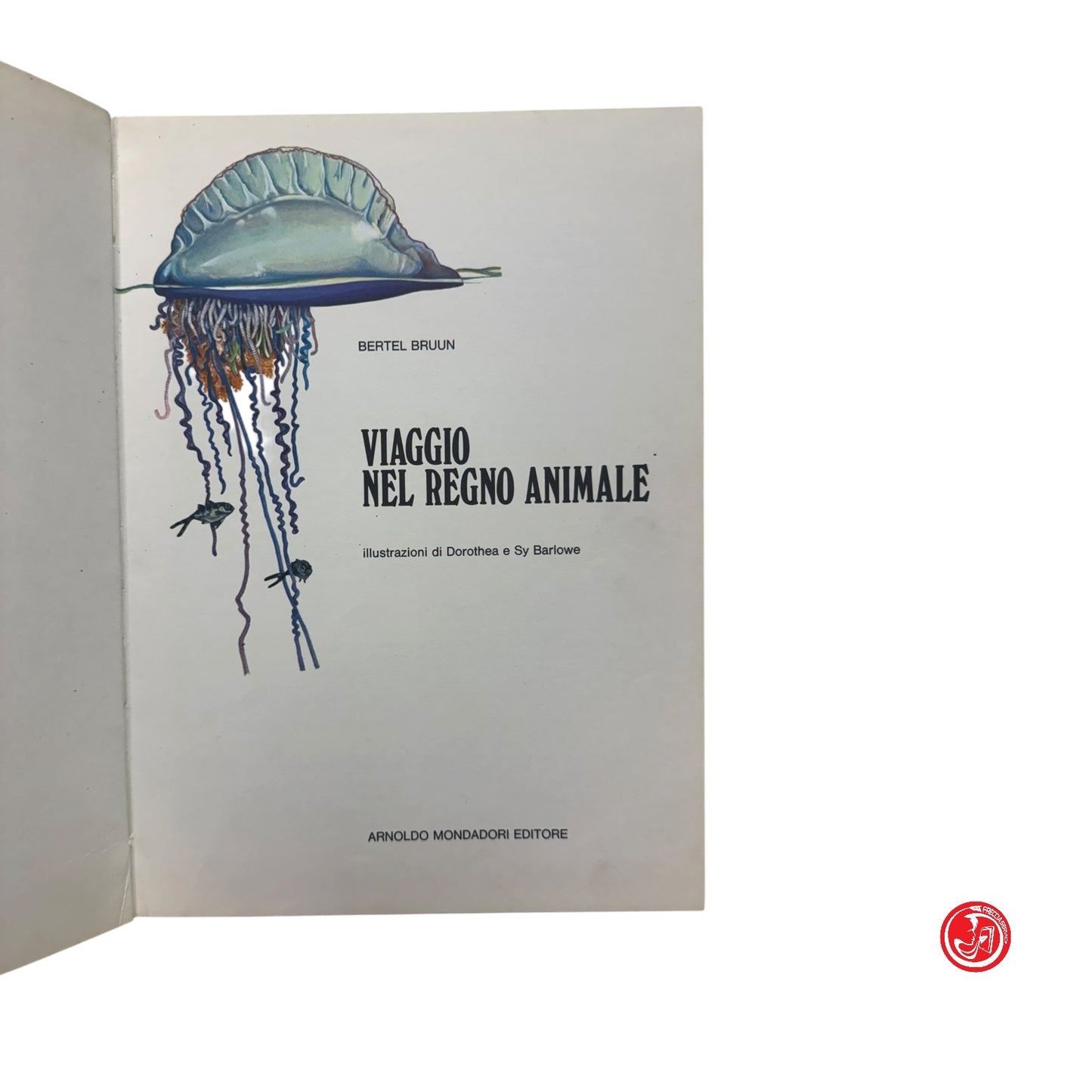 Ragazzi - Viaggio nel regno animale